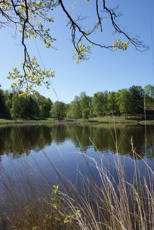 etang-domaine-lachaud-DSC08203